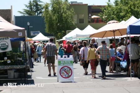 农夫集市（Farmer's Market）