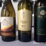 Chinese boutique wine tasting after three years 三年后的国产精品葡萄酒品鉴