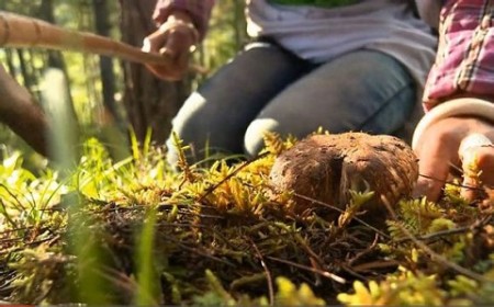 18f0d1628535e5dde7f1bbeb75c6a7efcf1b62d2