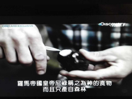 mp22726748_1436876309293_1_th