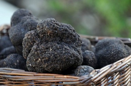 truffles800