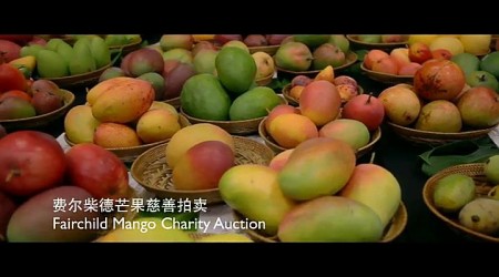 暴风截图20158133832133