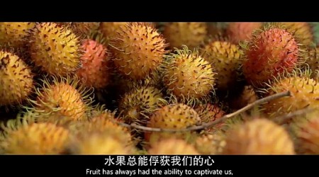 暴风截图20158135053293