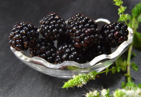 Fresh blackberries on slate plate
