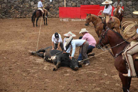 mp31280030_1441845703599_3