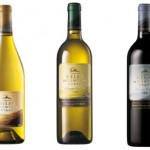 贺兰山葡萄酒与进口酒同值盲品Helanshan wine and imported wine