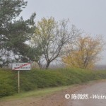 All about Family Leflaive 乐飞的家谱——音乐人的酿酒梦Olivier Leflaive