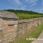 Wine Tourism Guide I：France-Burgundy 法国葡萄酒旅游指南（一）勃艮第