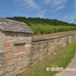 Wine Tourism Guide I：France-Burgundy 法国葡萄酒旅游指南（一）勃艮第