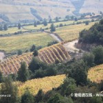 2015年份报告：南美地区之智利