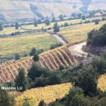 A Brief Description of  Development of Modern Chile Wine Regions