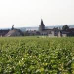 勃艮第葡萄酒行业协会（BIVB）2015年份产区采收官方报告: 一个顶级年份